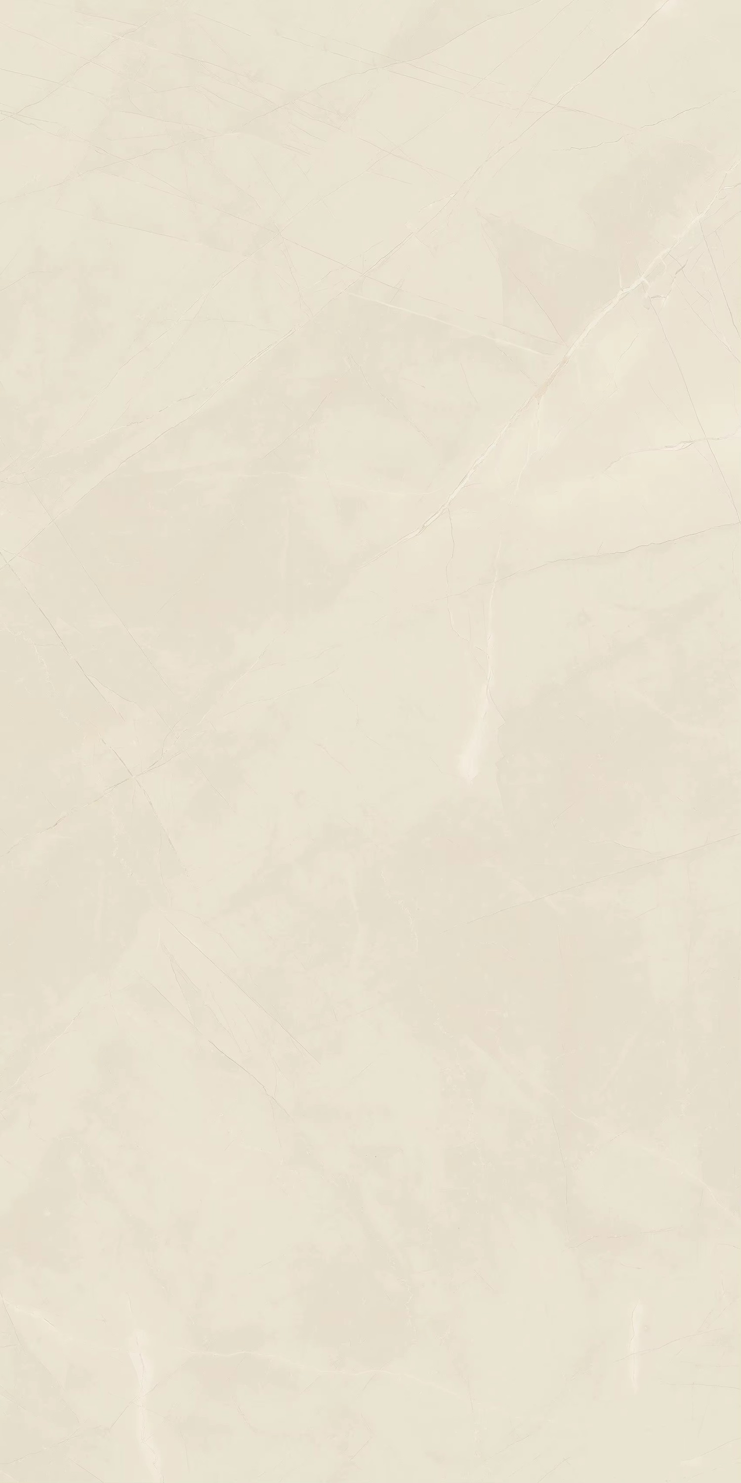 CD1205-Armani1200x600 750x1500