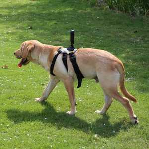 สายรัดหน้าอกสำหรับกล้องแอคชั่น GoPro HERO 8 7 5 Session SJCAM SJ4000 Yi 4K H9 DJI Insta360ใหม่ - Product Image 3