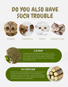 Fresh Cat Catnip Toys Forma Linda Mascota Mint Lollipop Catnip Ball Cat Toy - Product Image 3