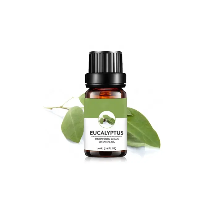 Therapeutic grade Body Massage Oil Natural Eucalyptus Essential Oil with low price