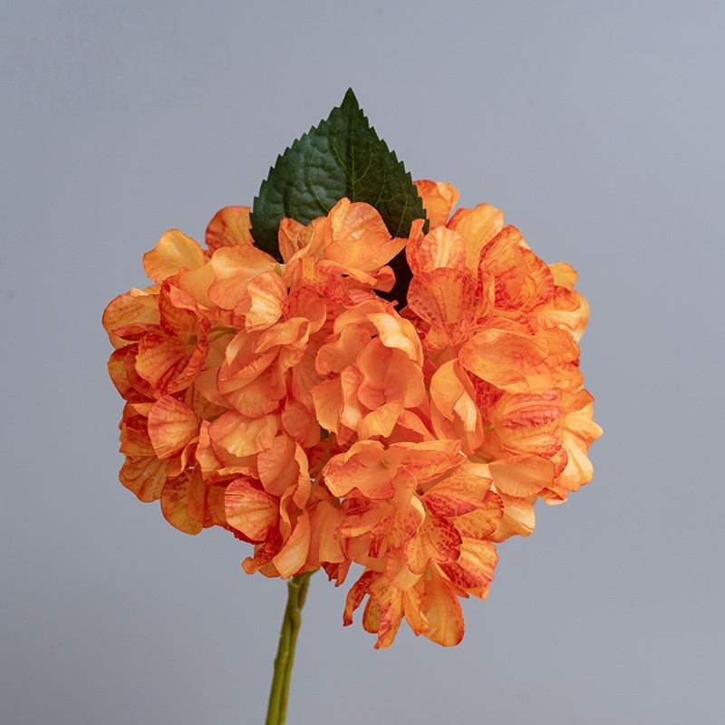 Arancione