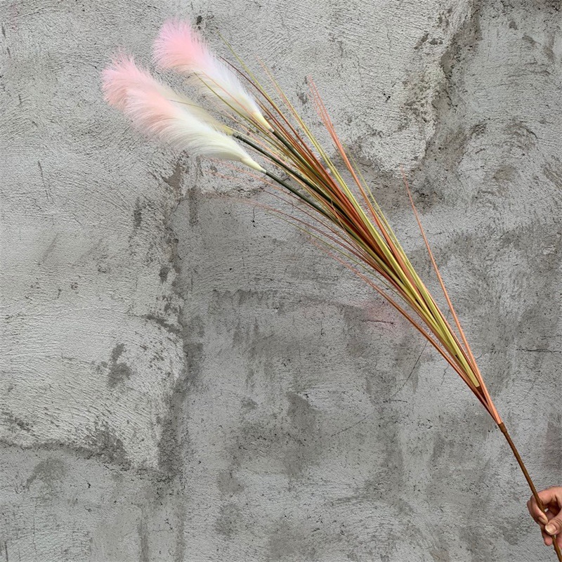 15m 3 head reed gradient powder