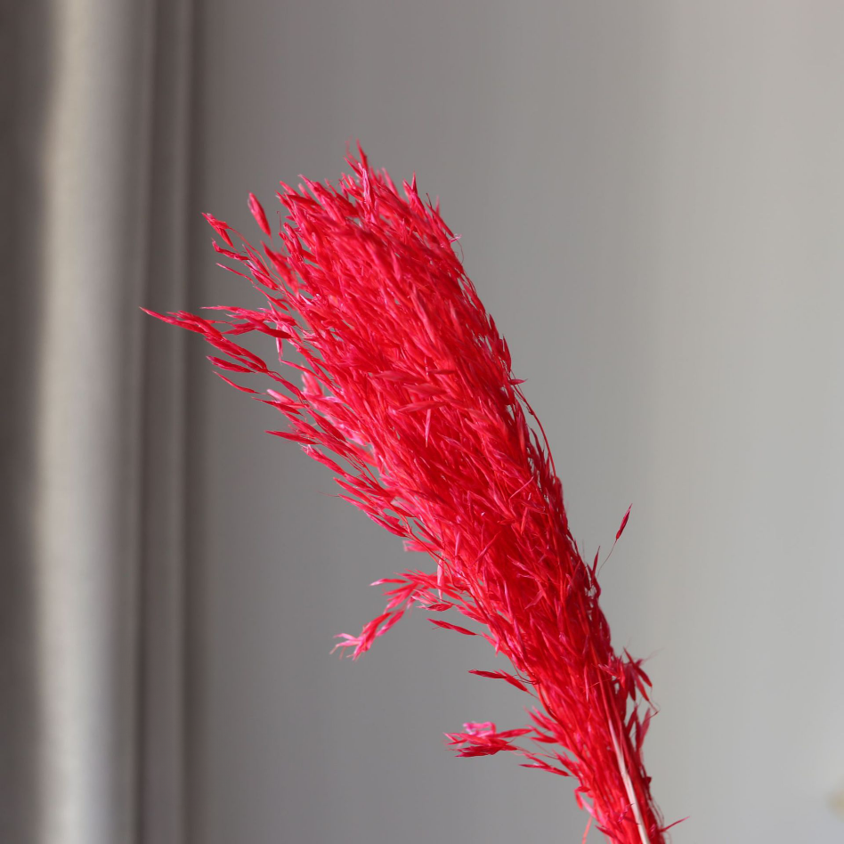 สีแดง