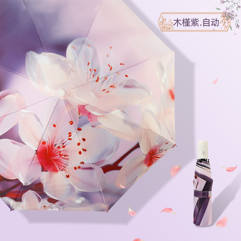 Hibiscus violet - automatique