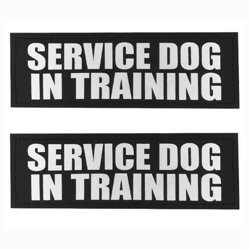 PERRO DE SERVICIO EN FORMACIÓN