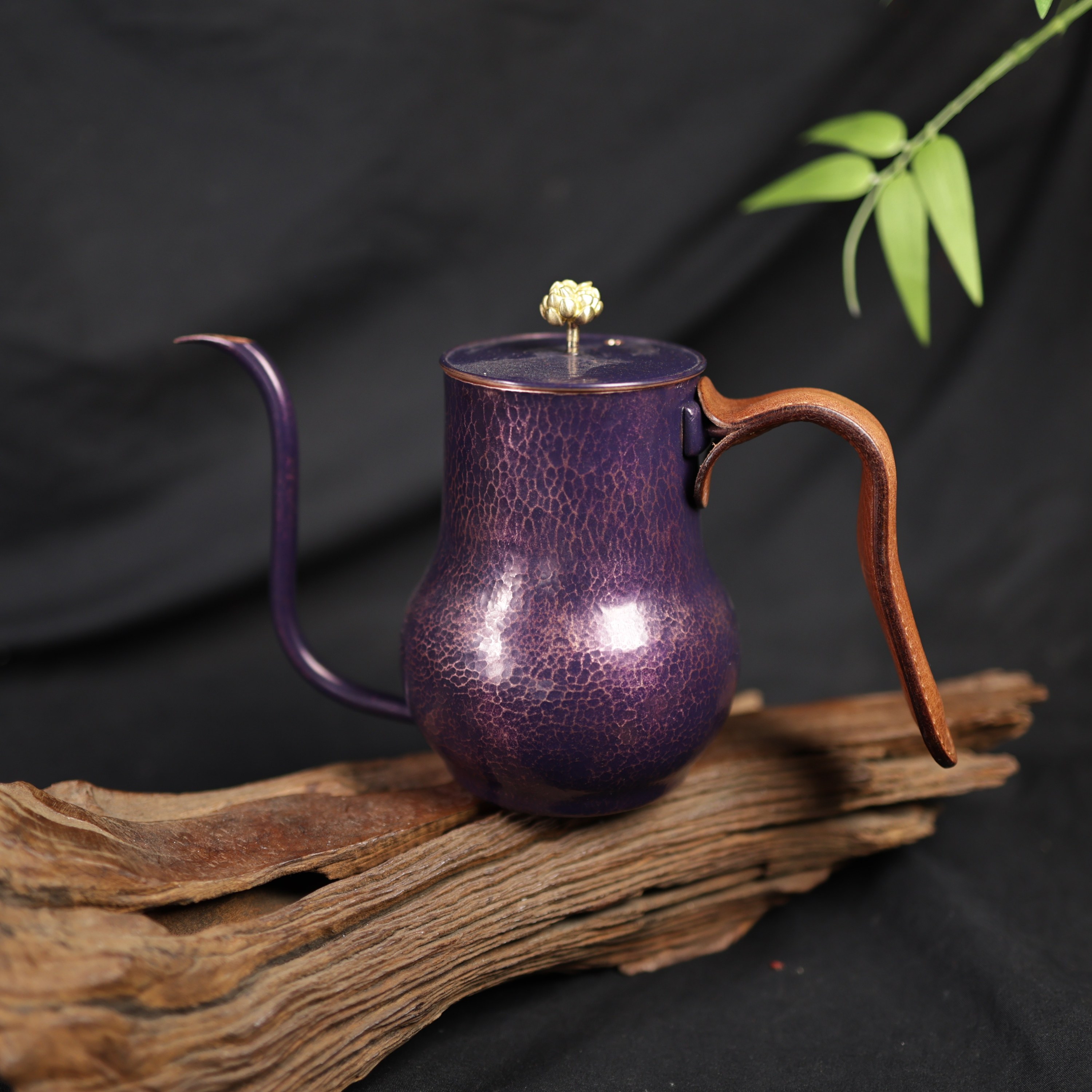 VIOLETA