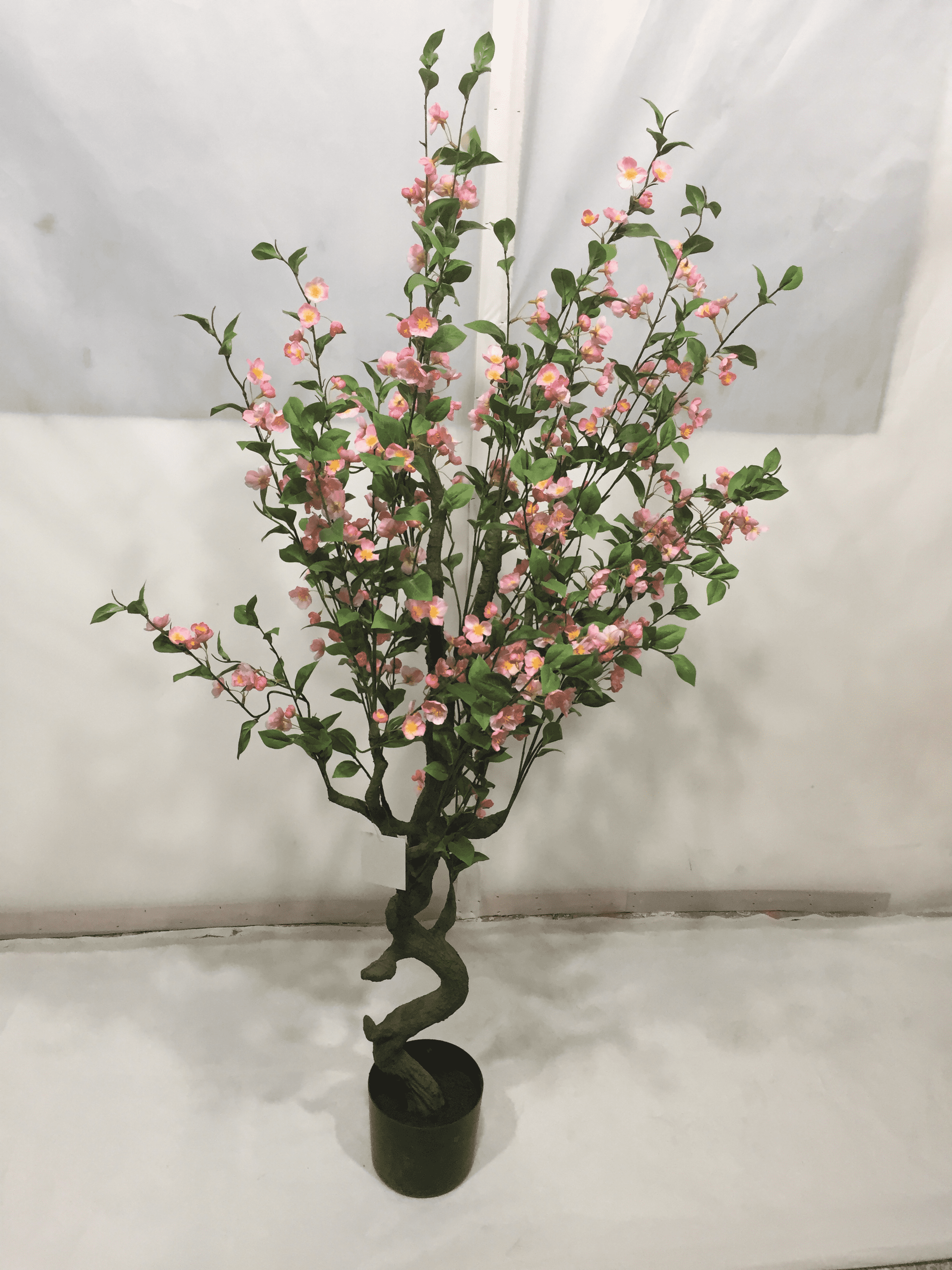 Crabapple flower tree