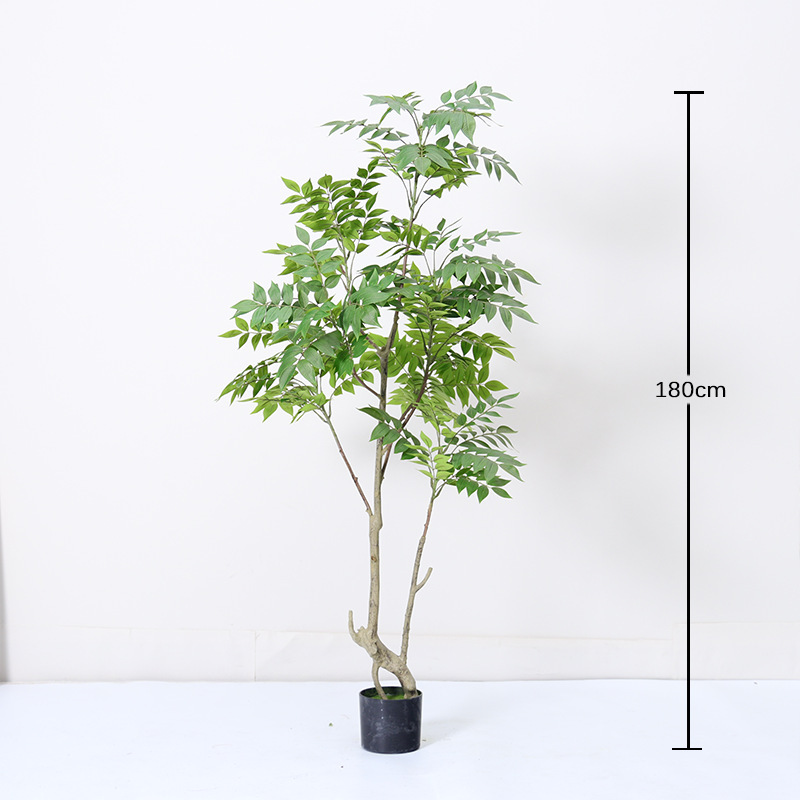 Bois laqué - 180cm