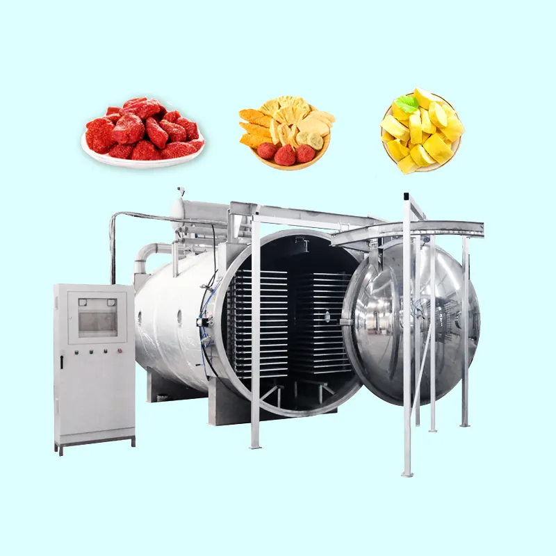 TCA automatic ginger lyophilized cherries tomato freeze drying machine for fruits vegetables