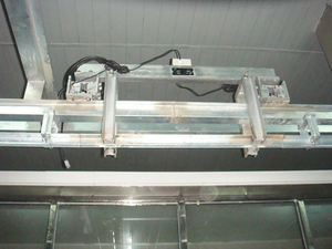 Kuhochtschalen Schienenwaage für Rinderschlachthaus Karkassenwaage - Product Image 2