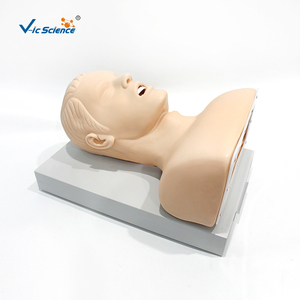 Advanced <strong>Human</strong> Tracheal Intubation Training Model - Product Image 1