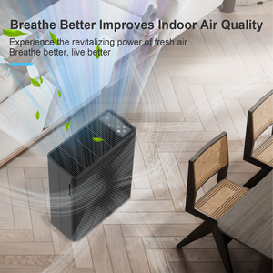 Purificador de aire con filtro de carbón HEPA portátil para habitaciones grandes Fuente de alimentación manual OEM/ODM para hogares Producto de EE. UU. - Product Image 3