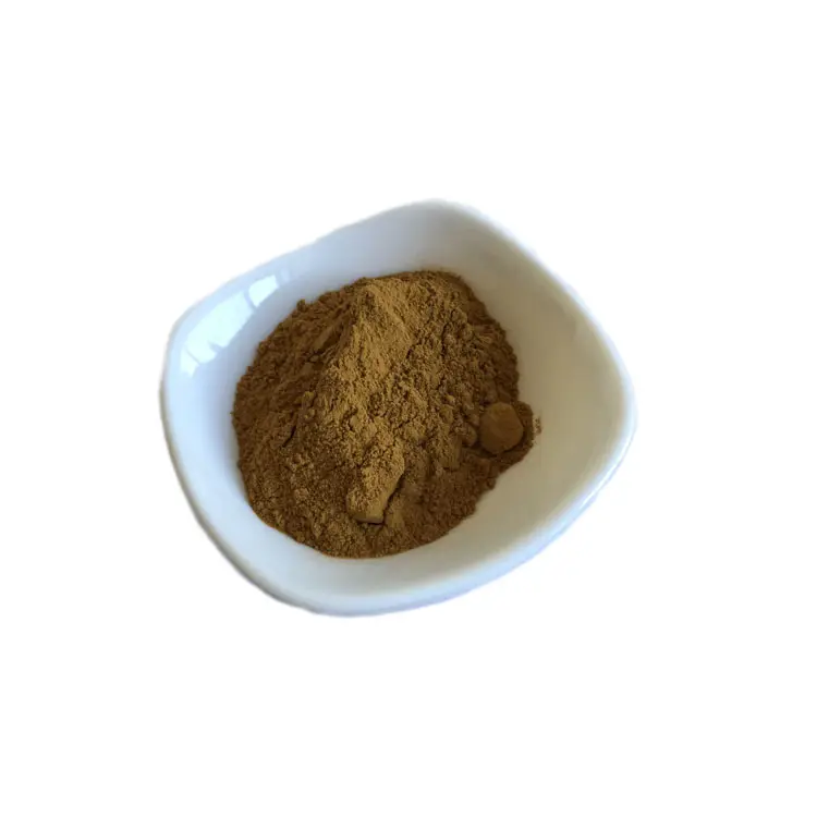 10:1 20:1 Hesperidin Citrus Aurantium Extract Powder 40% Citrus Bioflavonoids Supplier