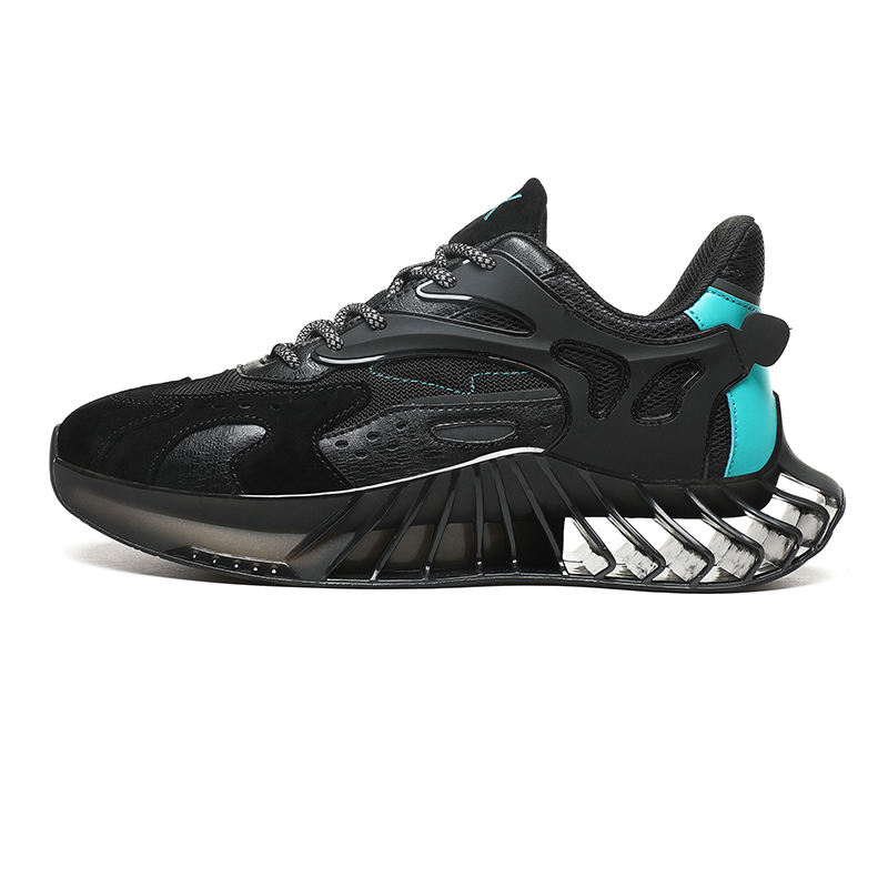 แสงจันทร์สีดำ