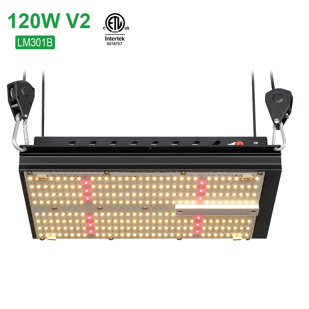 바바 전체 스펙트럼 cob 빛 성장 meanwell 드라이버 lm301b 3500k 660nm 120w 삼성 quantum led 램프 microgreens 꽃