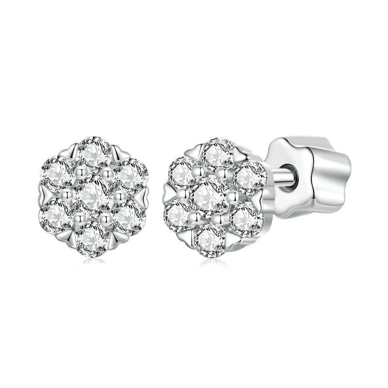 Earrings 10