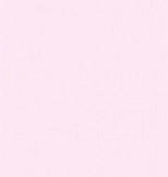 Rose (Stock AE)**