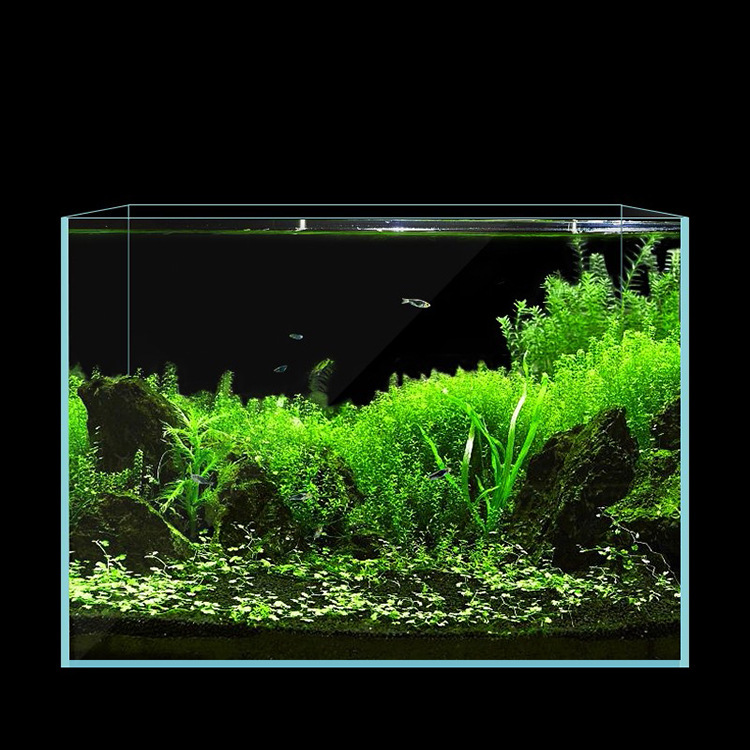 Ultra-clear glass tank 310*180*240