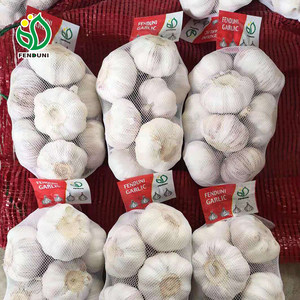 大蒜买家批发10千克/袋装1x20FCL 5.0厘米/5.5厘米出口莫桑比克/索马里/利比亚/利比里亚便宜的市场价格/新作物/Ajo