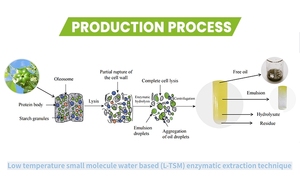 Exclusive <strong>Patent</strong> Extract raw material for cosmetics Camellia Japonica Seed <strong>Oil</strong> for Skincare Deep Hydration Antioxidant Herbal - Product Image 4