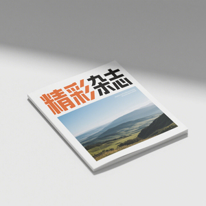 定制杂志、小说、书籍、廉价胶版纸和精装书，配合完美的装订纸和纸板印刷。 - Product Image 6