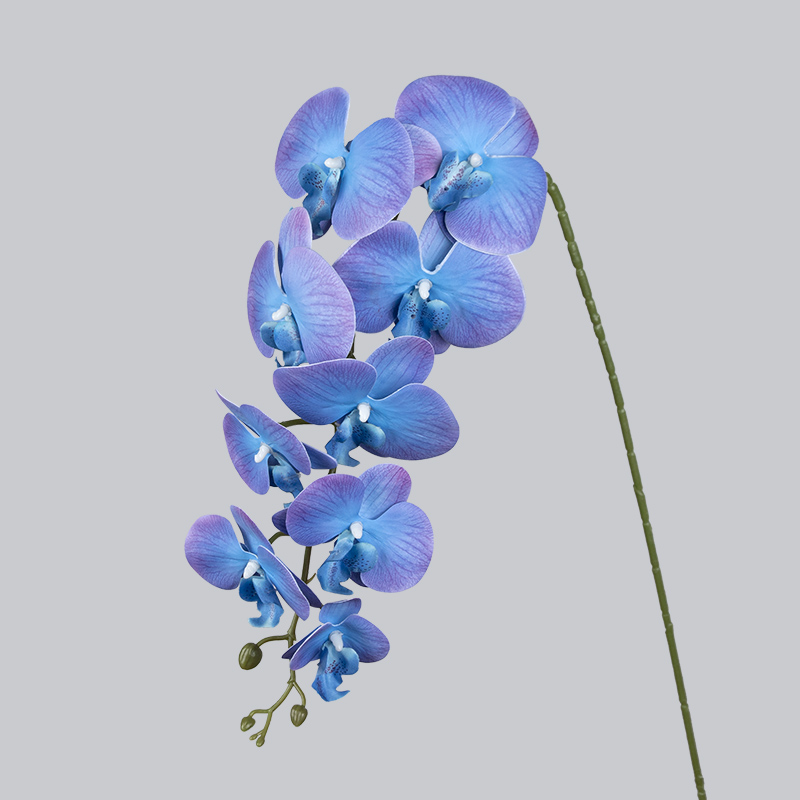 PU 9 Orichid-bleu et violet