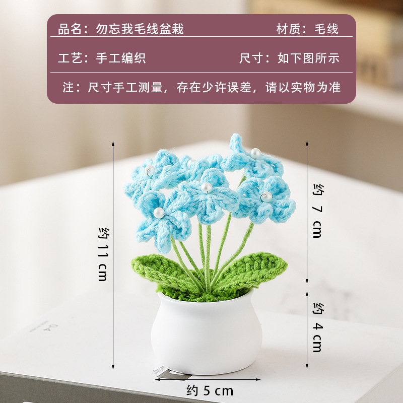 Light blue forget-me-not potted plant