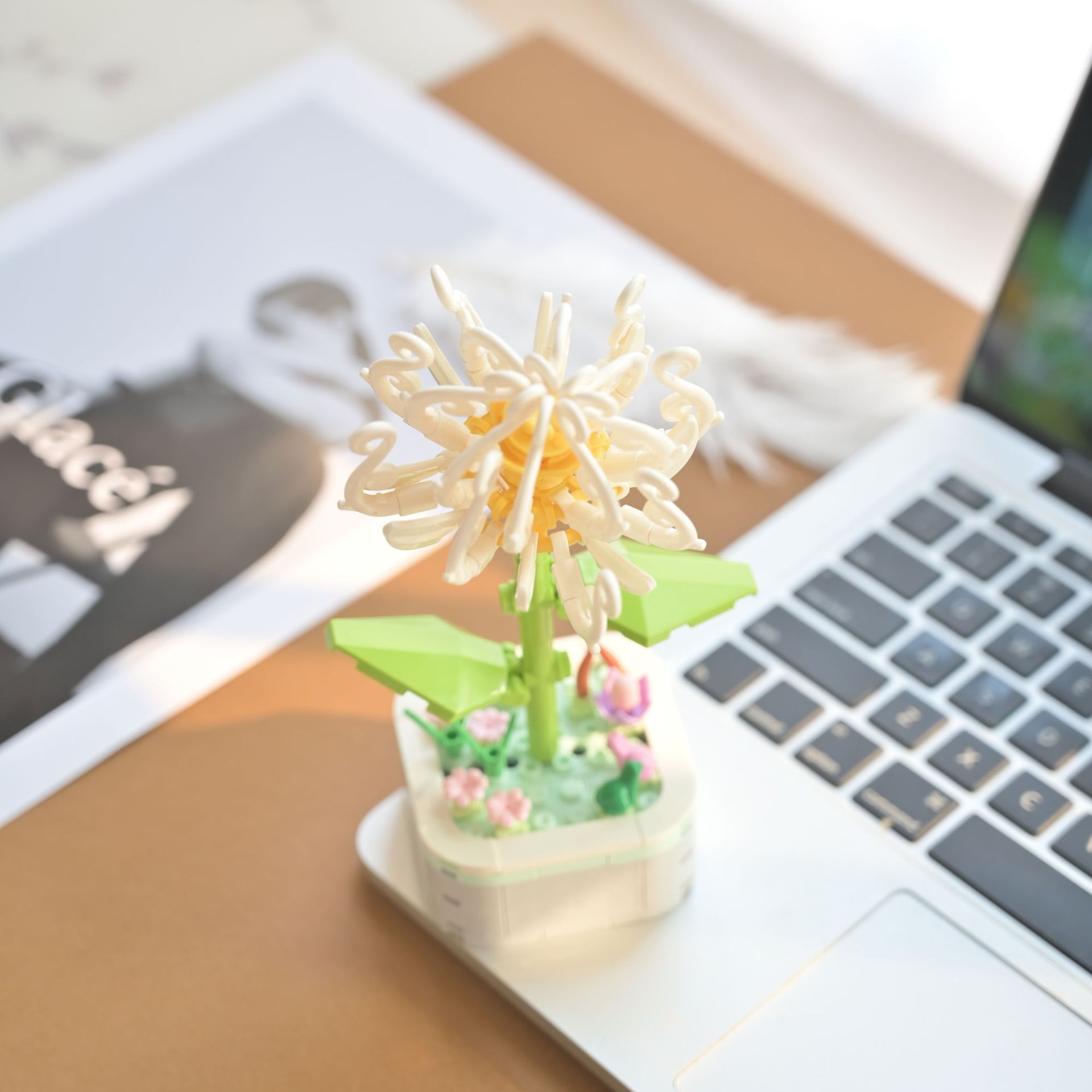 Chrysanthème
