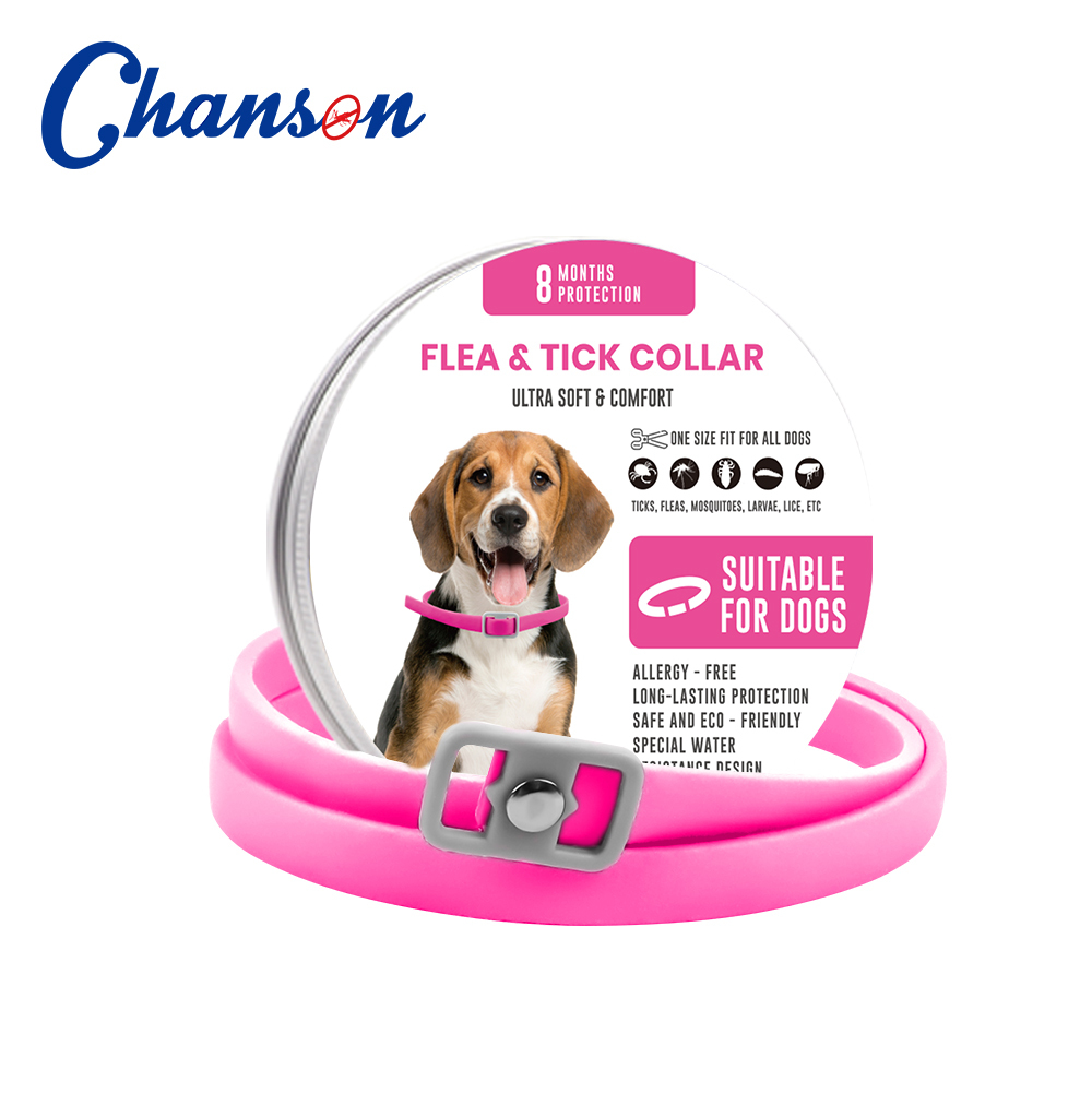 Pink Dog