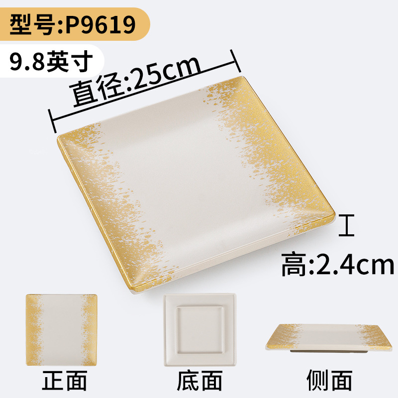 p9619