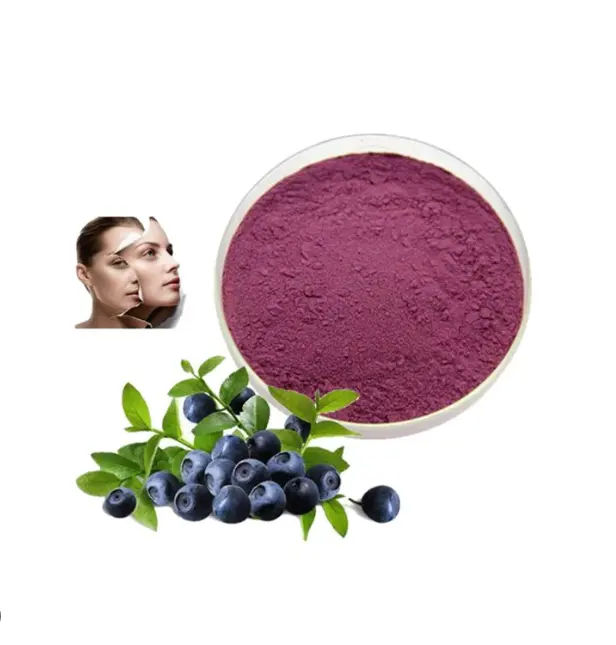 Nhà sản xuất cung cấp bán buôn hữu cơ cấp giấy chứng nhận bột Bilberry chiết xuất Bilberry bột Bilberry nước trái cây bột