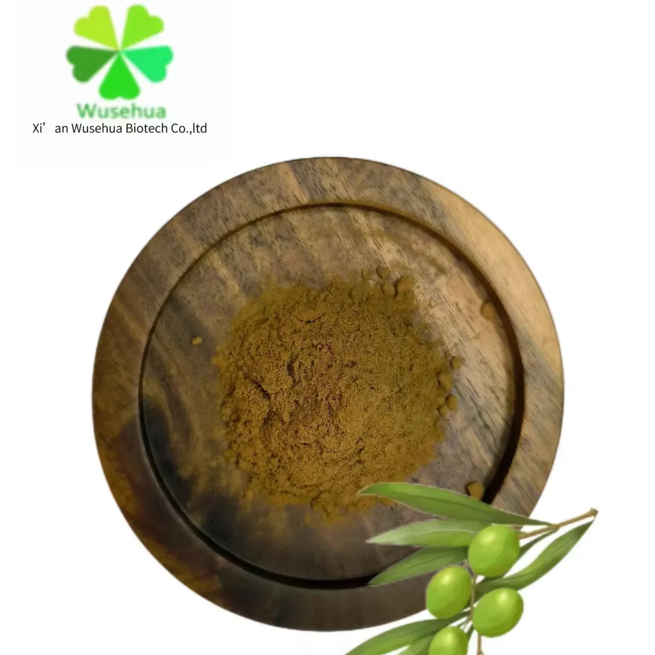 High Quality Olive Leaf Extract 20% Oleuropein Powder