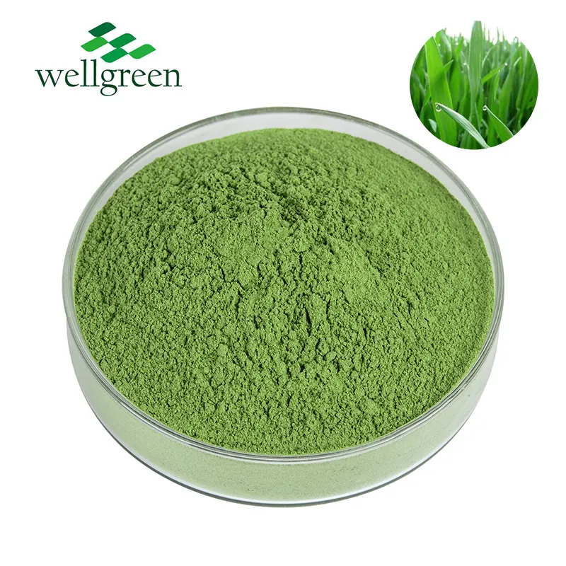 Poudre d'extrait d'herbe d'orge pure Focusherb verte de jus organique d'additif alimentaire naturel