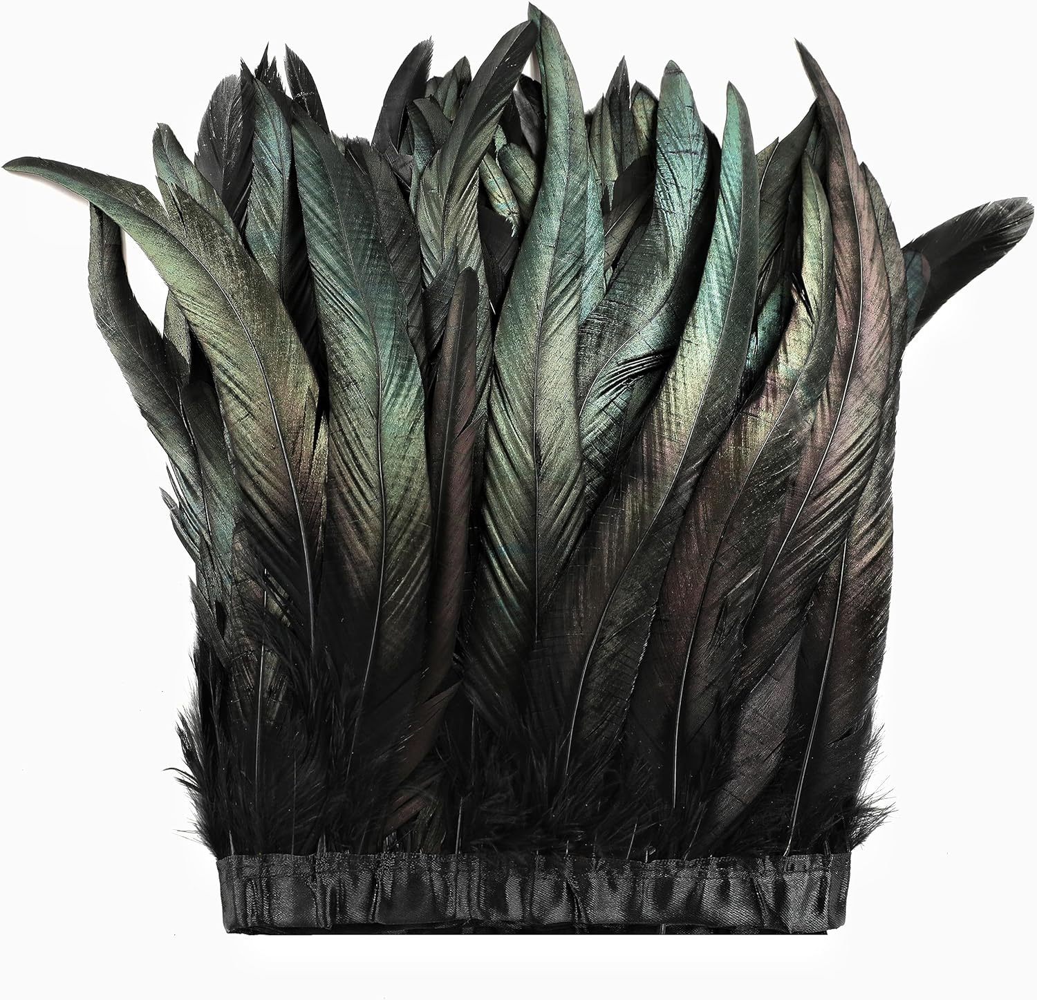 Plumes de coq noir