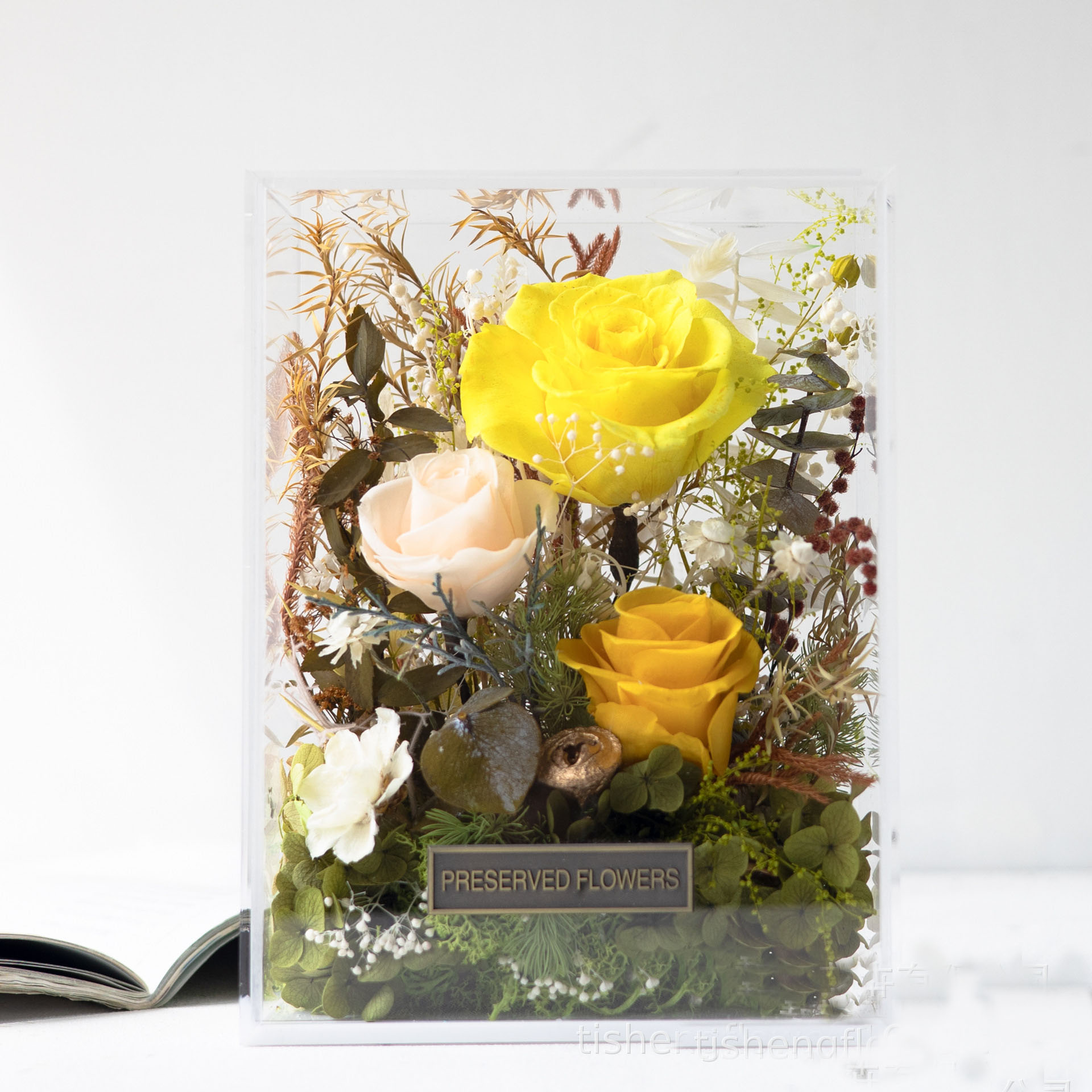 Branches dorées et feuilles de jade-coffret cadeau