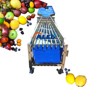 Máquina clasificadora de frutas y verduras comercial de alta eficiencia Máquina clasificadora de frutas vegetales de gran capacidad - Product Image 1