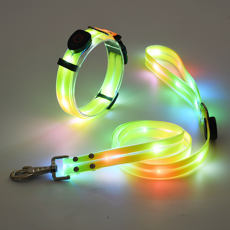 Laisse pour chien jaune - jaune - bande lumineuse 5 couleurs