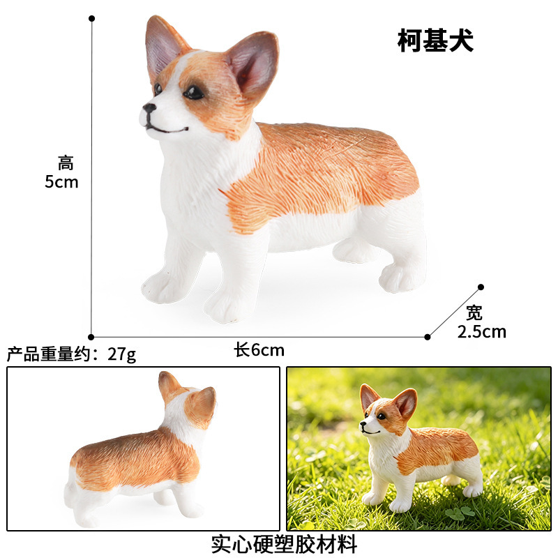 Corgi debout coloré 3591