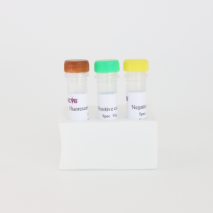 Equine Infectious <strong>Anemia</strong> Virus (EIAV) PCR Kit - Real-Time Fluorescent Detection, 50 <strong>Tests</strong> for Veterinary Labs - Product Image 3