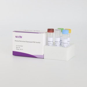 Porcine Parvovirus (PPV) Real-Time PCR Detection Kit | 48T/Box | CE Certified | Veterinary Diagnostic <strong>Test</strong> - Product Image 5