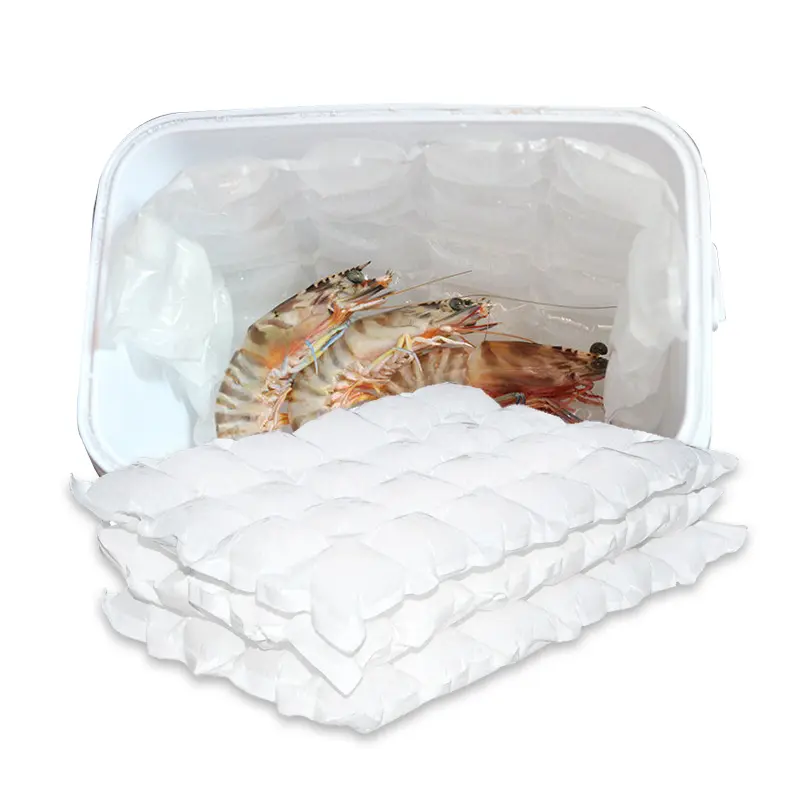 Sac de glace froide réutilisable utilisé pour le transport de la viande emballage en gel transport alimentaire, feuille d'emballage de glace sèche