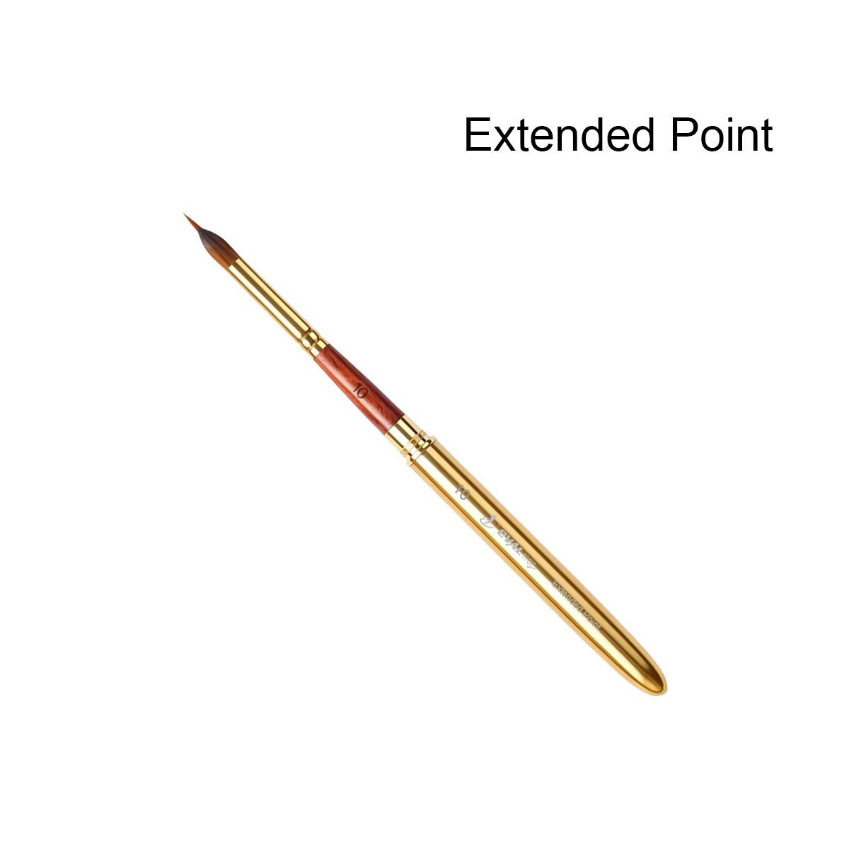 Extended Point