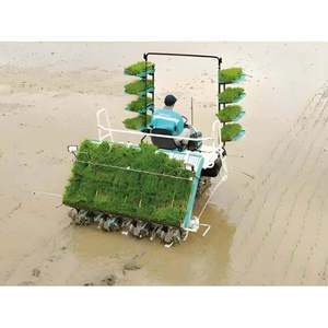 เครื่องปลูกข้าวเปลือก4แถว6แถว2ZGQ-825ด้วยตัวเองเครื่องปลูกข้าว - Product Image 4