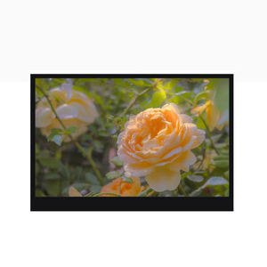 Innolux 13,3 дюймов Hd Lcd экран 1920*1080 экран ноутбука емкостный сенсорный дисплей экран Edp интерфейс ЖК-модуль завод - Product Image 1