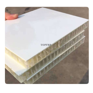 Factory Hot Selling 18mm <strong>FRP</strong> PP <strong>Honeycomb</strong> <strong>Core</strong> Sandwich <strong>Panel</strong> for Superior Structural Strength