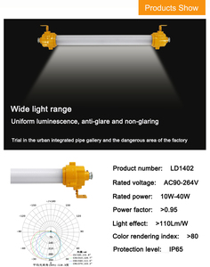LEDUN-危险区域防爆发光二极管荧光灯管灯10w-40w IP66 ATEX化学工业照明灯具 - Product Image 6