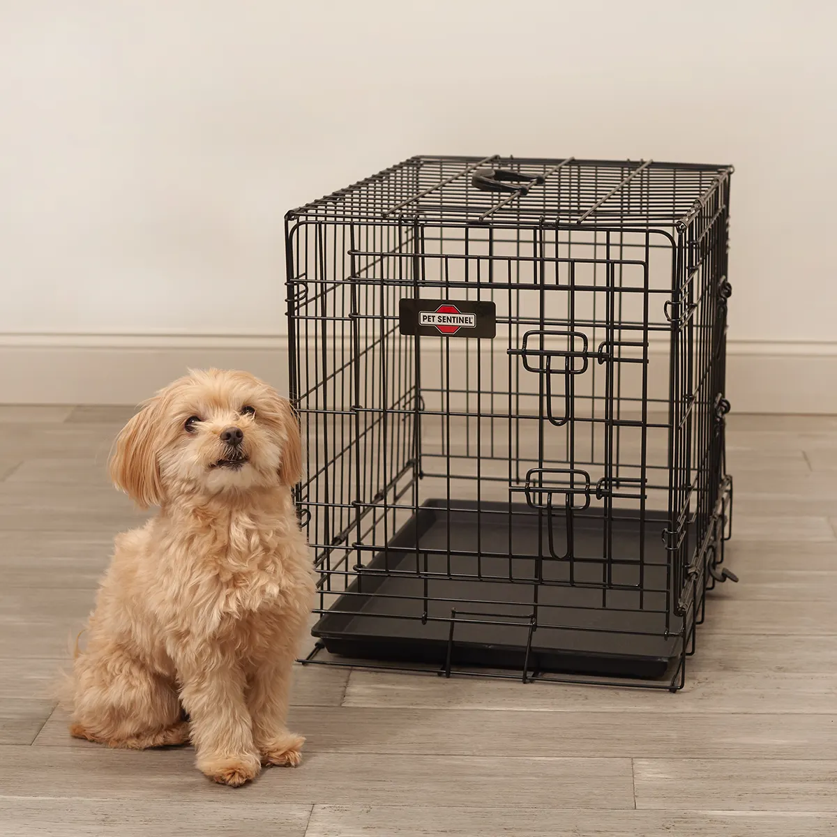 Thương mại hiện đại kích thước tùy chỉnh có thể gập lại dây kim loại thêm lớn chó cũi ngoài trời Pet Crate lồng để bán