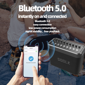 Sodlk S1314 profesyonel Karaoke taşınabilir bluetooth hoparlör 2 kablosuz mikrofonlar ile Echo/tiz/bas ayarı