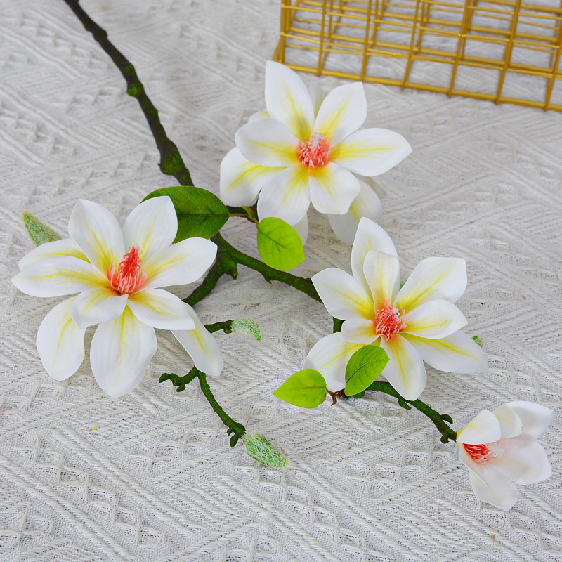 Bianco