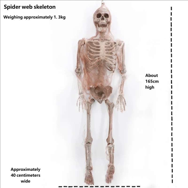 Spider web skeleton